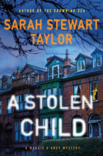 A Stolen Child: A Mystery