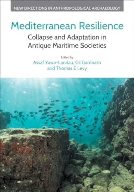 Mediterranean Resilience: Collapse and Adaptation in Antique Maritime Societies