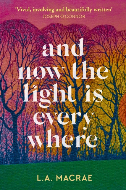 And Now the Light is Everywhere: A stunning debut novel of family secrets and redemption