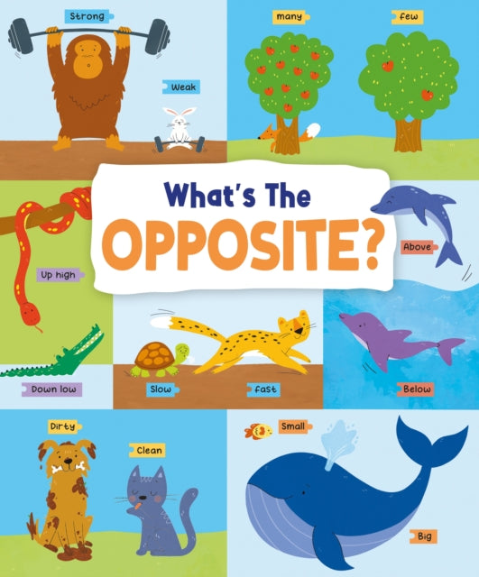 What's the Opposite?: Big and Small, High and Low and Many More...