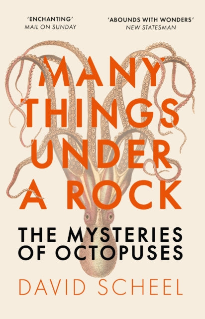 Many Things Under a Rock: The Mysteries of Octopuses