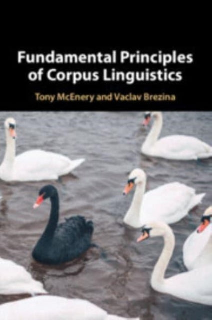Fundamental Principles of Corpus Linguistics