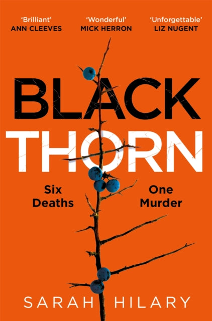 Black Thorn: A slow-burning, multi-layered mystery about families and their secrets and lies