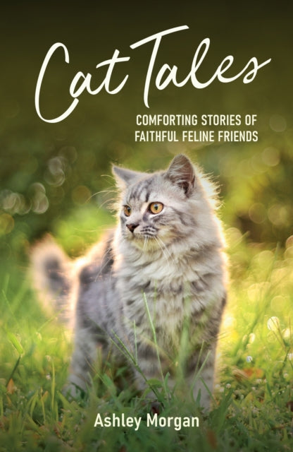 Cat Tales: Comforting Stories of Faithful Feline Friends
