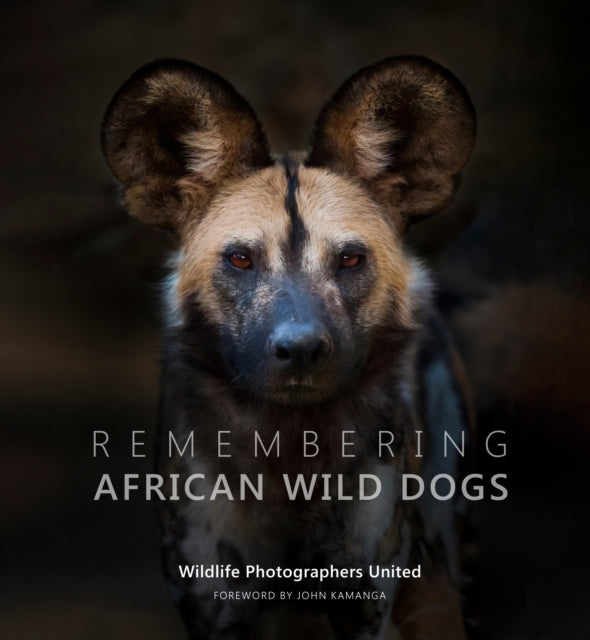 Remembering African Wild Dogs