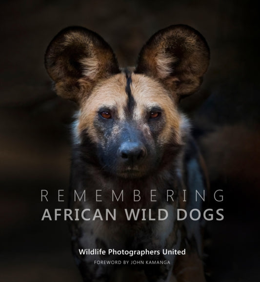 Remembering African Wild Dogs