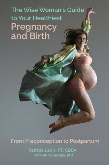 Wise Woman's Guide to Your Healthiest Pregnancy and Birth: From Preconception to Postpartum