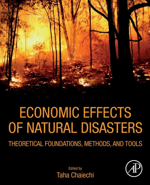 Economic Effects of Natural Disasters: Theoretical Foundations, Methods, and Tools