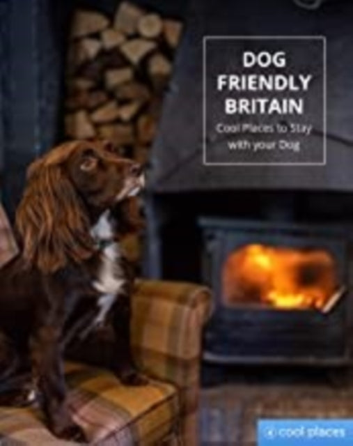 Dog Friendly Britain: Cool Places to Stay with your Dog