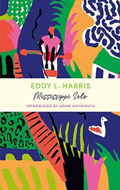 Mississippi Solo: John Murray Journeys