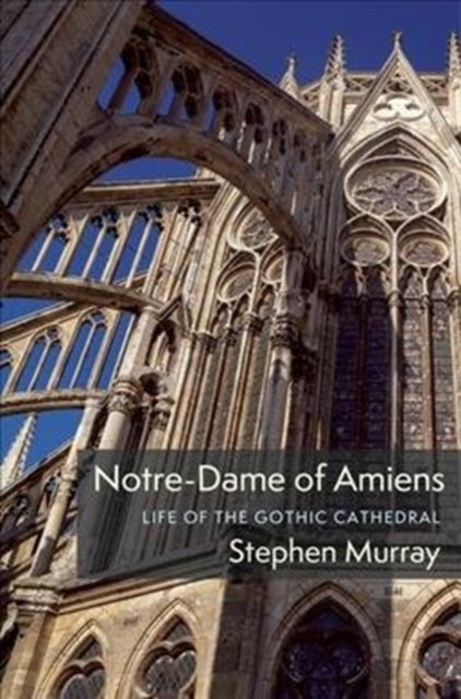 Notre-Dame of Amiens: Life of the Gothic Cathedral