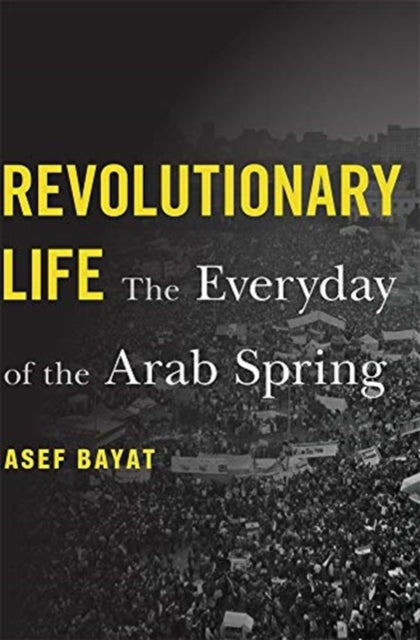 Revolutionary Life: The Everyday of the Arab Spring
