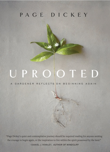 Uprooted: A Gardener Reflects on Beginning Again