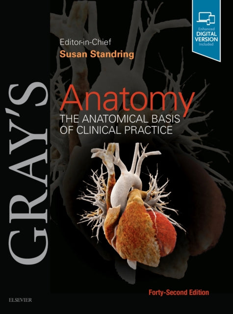 Gray's Anatomy: The Anatomical Basis of Clinical Practice