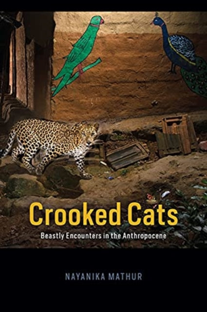 Crooked Cats: Beastly Encounters in the Anthropocene