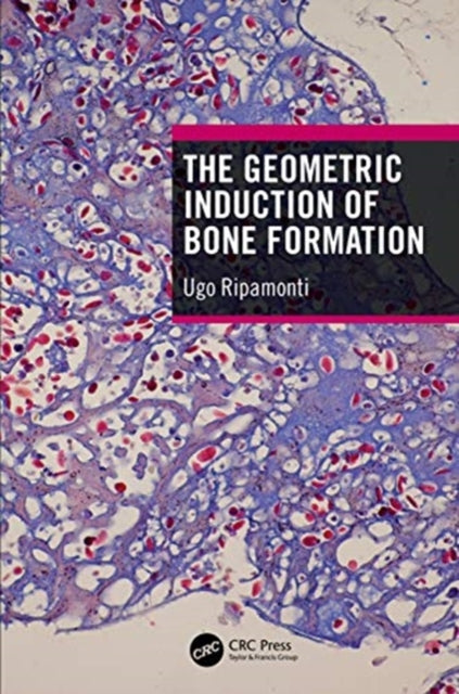 Geometric Induction of Bone Formation