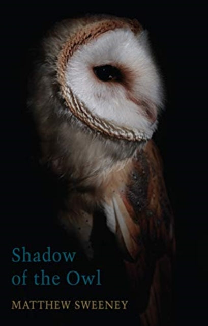 Shadow of the Owl