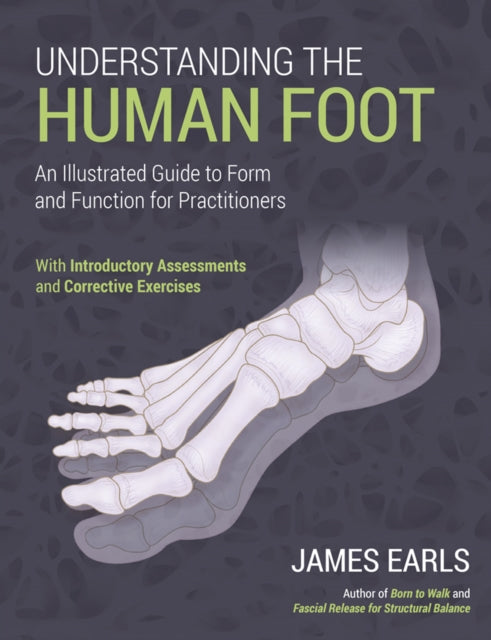 Understanding the Human Foot: An Illustrated Guide to Form and Function for Practitioners