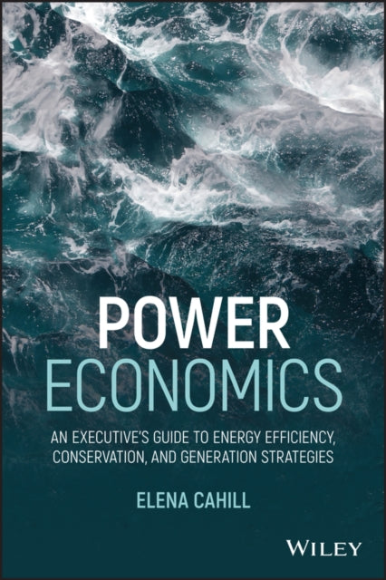 Power Economics: An Executive's Guide to Energy Efficiency, Conservation, and Generation Strategies