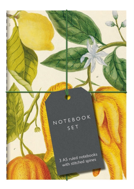 Botanical Art Notebook Set: 3 A5 ruled notebooks with stitched spines