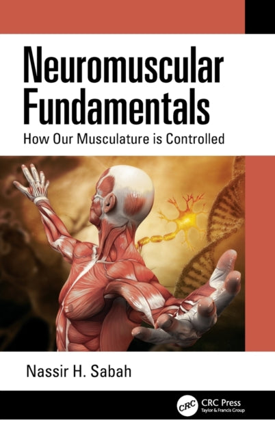 Neuromuscular Fundamentals: How Our Musculature is Controlled