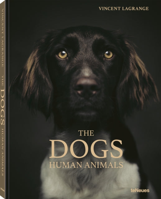 Dogs: Human Animals