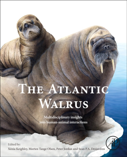 Atlantic Walrus: Multidisciplinary Insights into Human-Animal Interactions