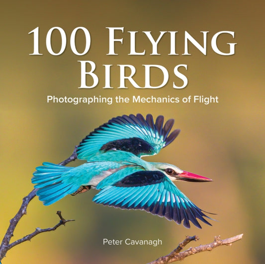 100 FLYING BIRDS