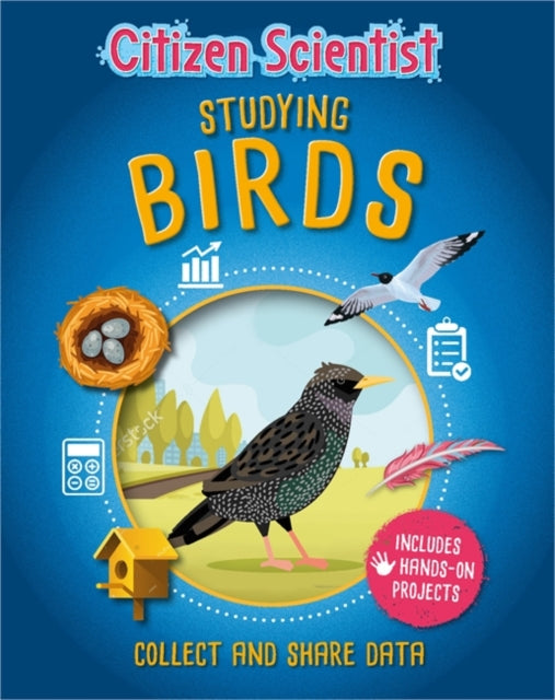 Studying Birds