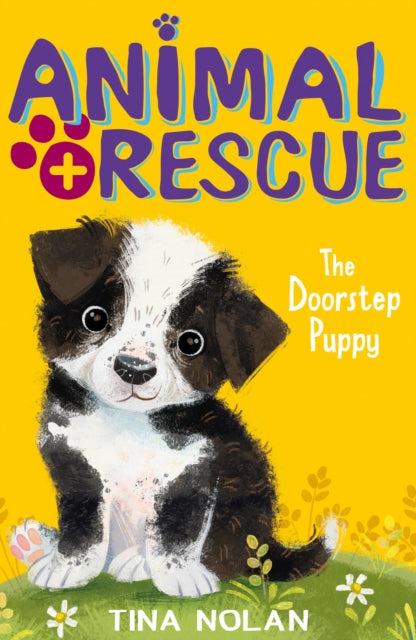 Doorstep Puppy