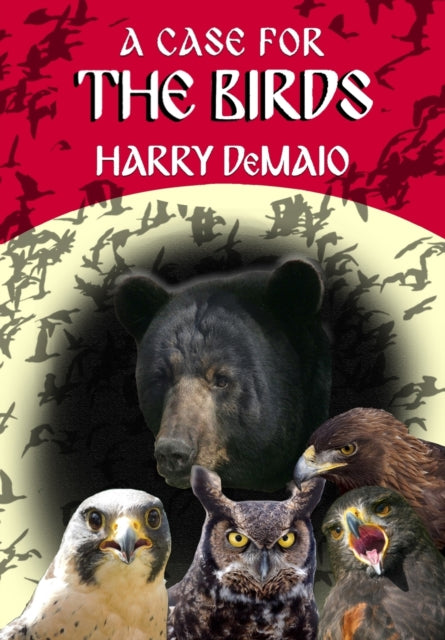 Case For The Birds (Octavius Bear 15)