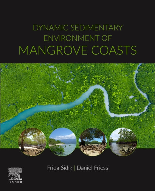 Dynamic Sedimentary Environments of Mangrove Coasts