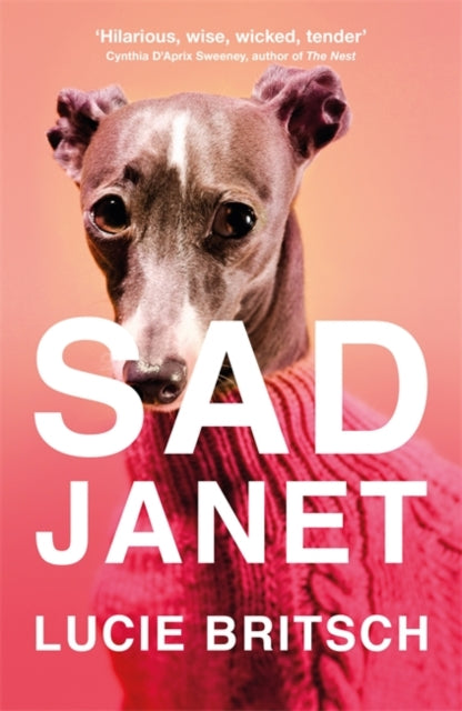 Sad Janet: A whip-smart, hilarious satire of our obsession with happiness