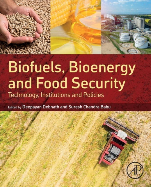 Biofuels, Bioenergy and Food Security: Technology, Institutions and Policies