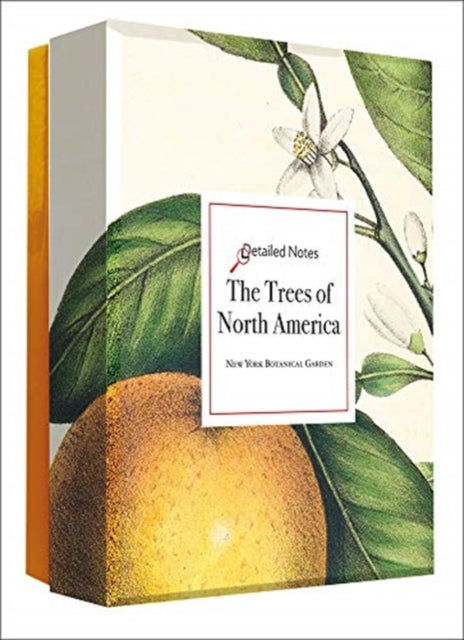 Trees of North America: A Detailed Notes notecard set