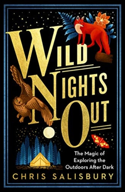 Wild Nights Out: The Magic of Exploring the Outdoors After Dark