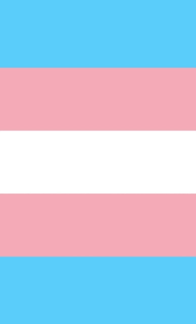 Transgender Pride Flag Journal