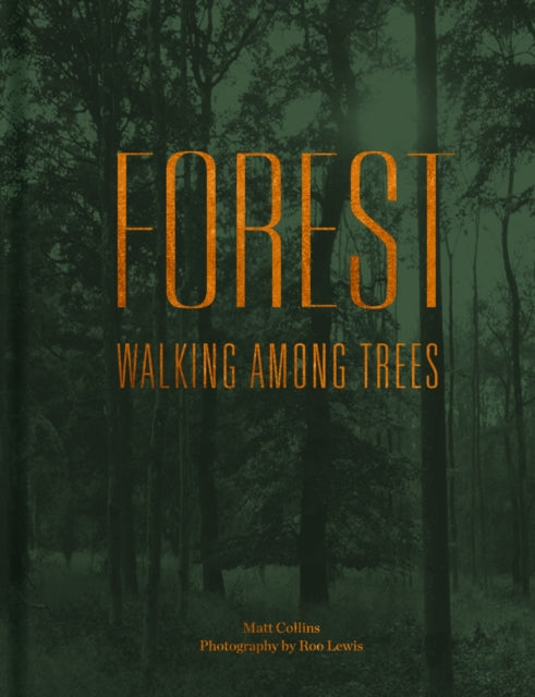 Forest: Walking among trees