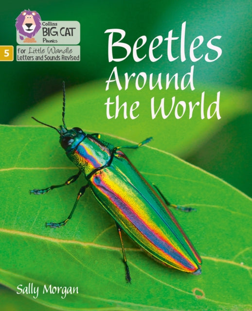Beetles Around the World: Phase 5