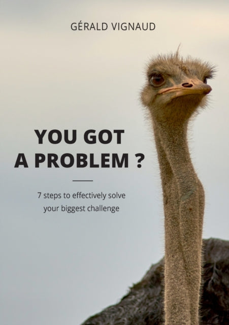 You got a problem ?: 7 steps to effectively solve your biggest challenge