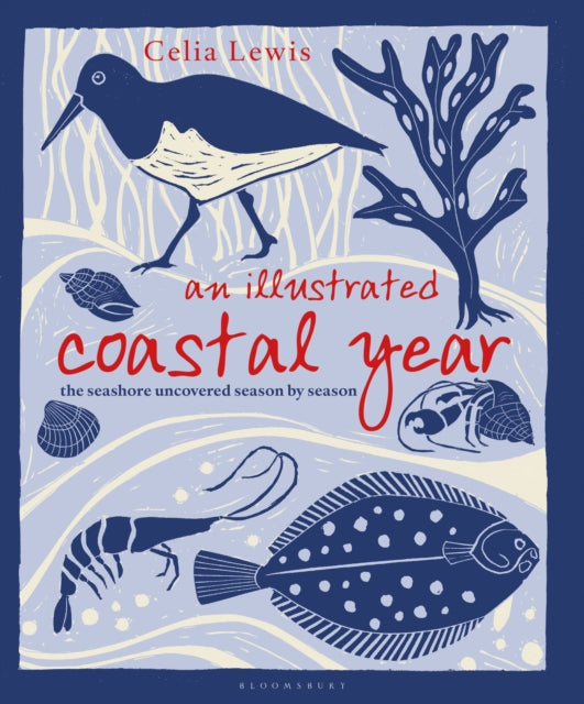 Illustrated Coastal Year: The seashore uncovered season by season