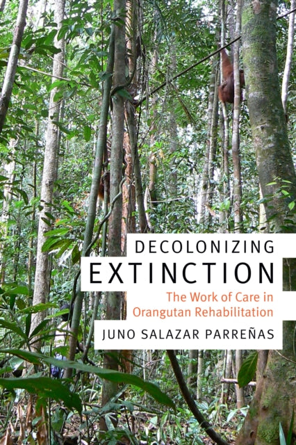 Decolonizing Extinction: The Work of Care in Orangutan Rehabilitation