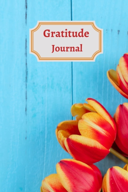 Gratitude Iournal for teens and adults