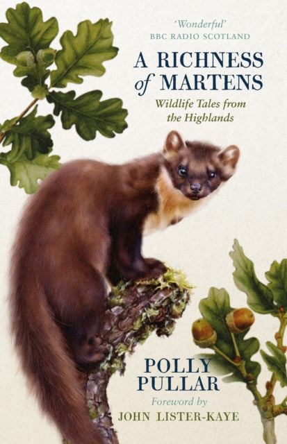 Richness of Martens: Wildlife Tales from the Highlands