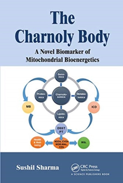 Charnoly Body: A Novel Biomarker of Mitochondrial Bioenergetics