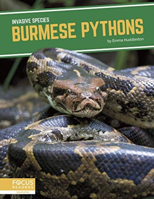 Invasive Species: Burmese Pythons