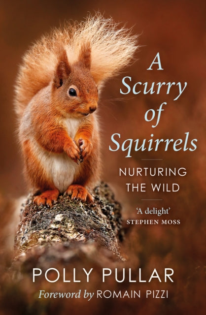 Scurry of Squirrels: Nurturing The Wild