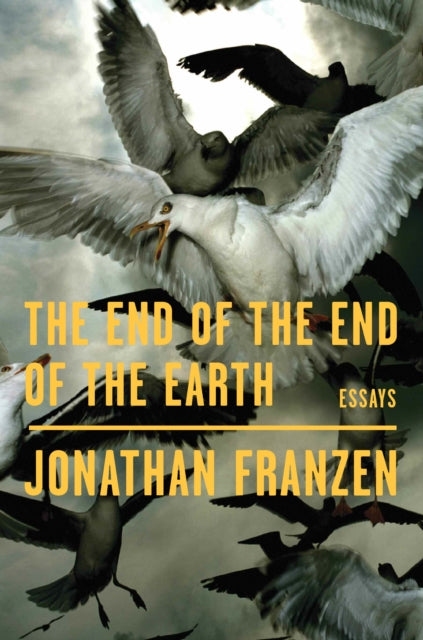 End of the End of the Earth: Essays