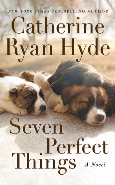 Seven Perfect Things: A Novel