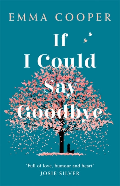 If I Could Say Goodbye: an unforgettable story of love and the power of family